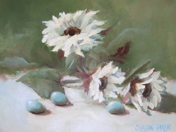 Daisies and New Life